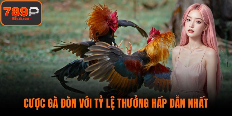 Cược gà đòn với tỷ lệ thưởng hấp dẫn nhất