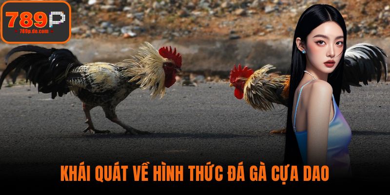 Khái quát về hình thức đá gà cựa dao