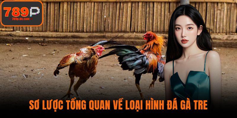 Sơ lược tổng quan về loại hình đá gà tre